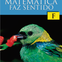 Matemática faz sentido F – Fundamento Aluno