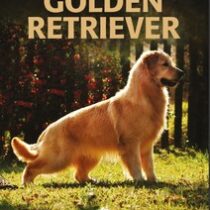 MANUAL DO GOLDEN RETRIEVER