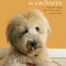 A cabeça do cachorro